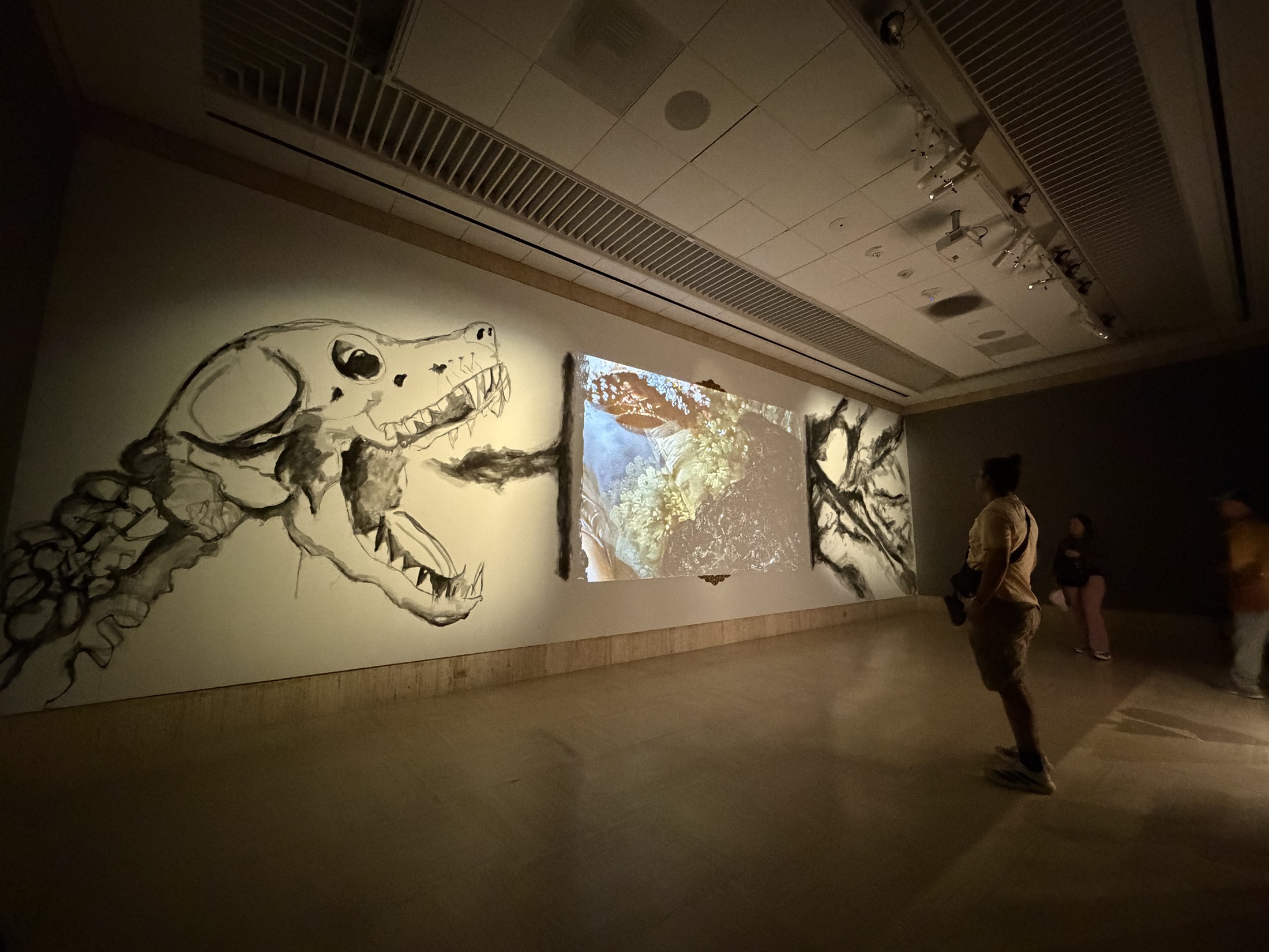 Margaret Noble's Drift installation with a skull, projection, and charcoal branches at the Timken Museum of Art
