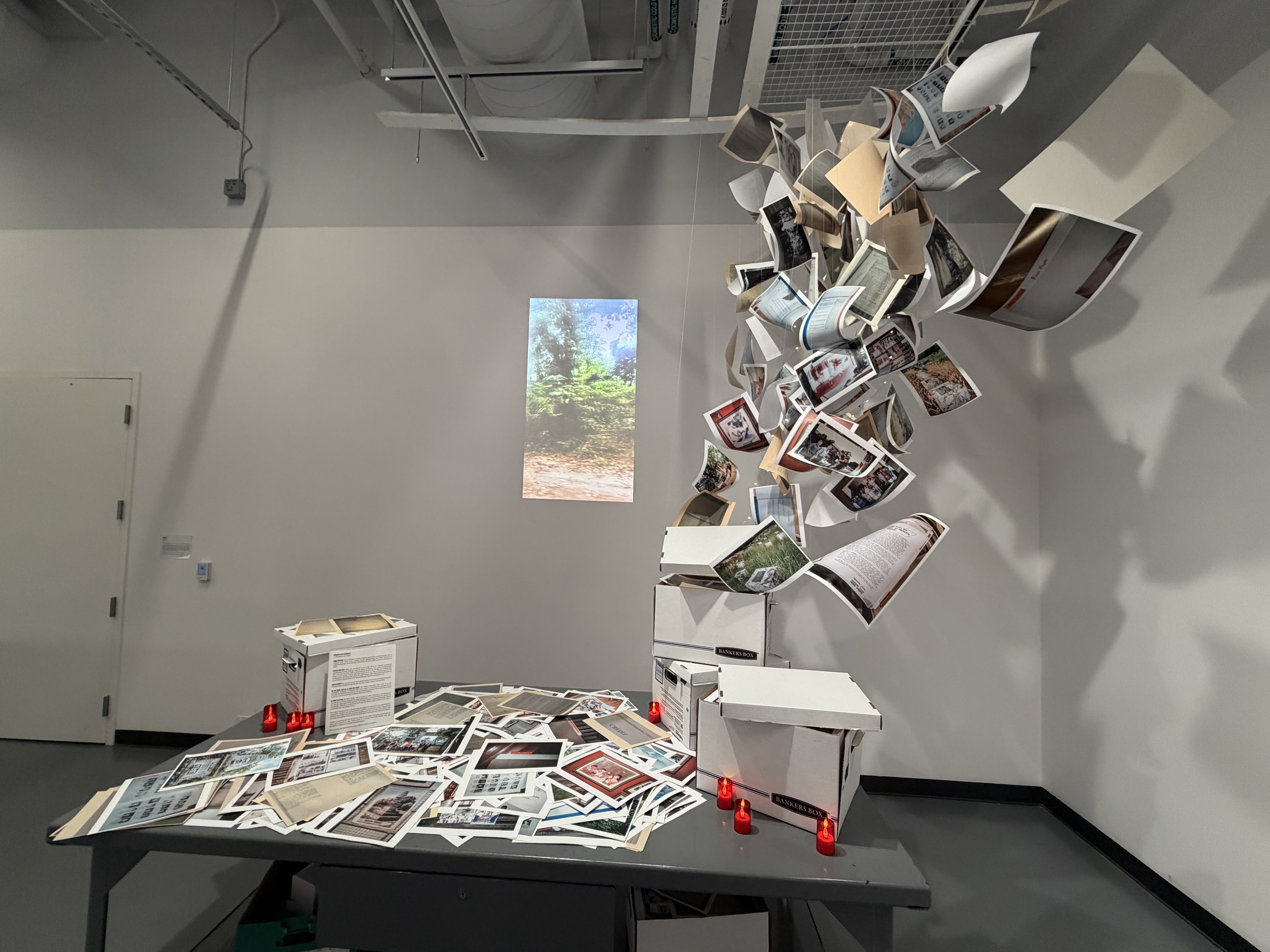 Works from Thao Huynh French's Future Flowers at Mesa College Art Gallery