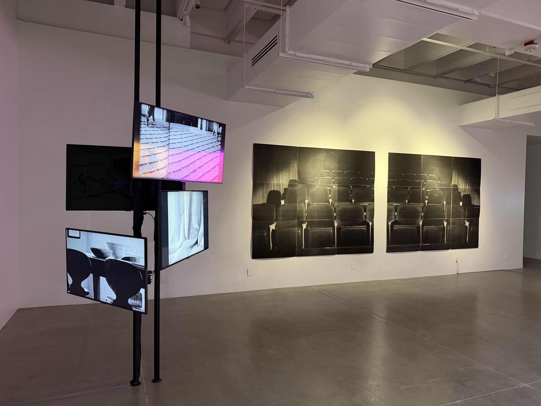 Dana Berman Duff’s Catalogue films facing Lorna Simpson’s Theater Seats.
